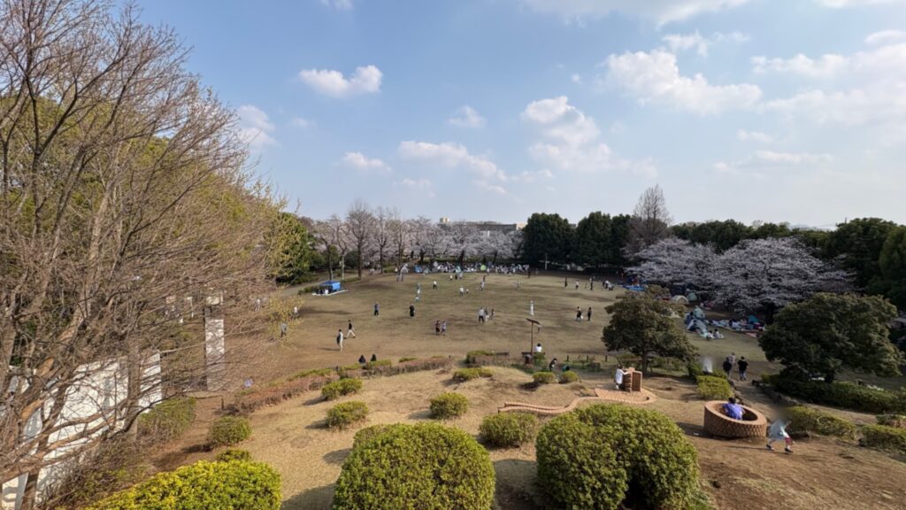 文理台公園の桜