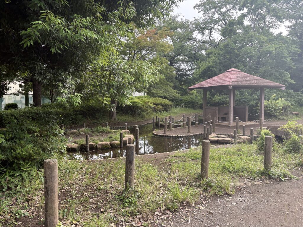 文理台公園　池周辺