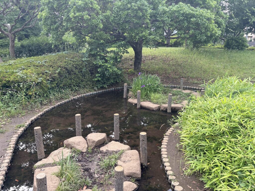 文理台公園池周辺2